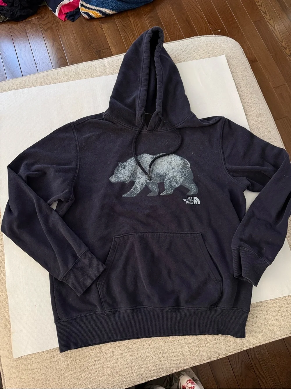 The North Face Men’s Dark Navy Bear Graphic Pullover Hoodie